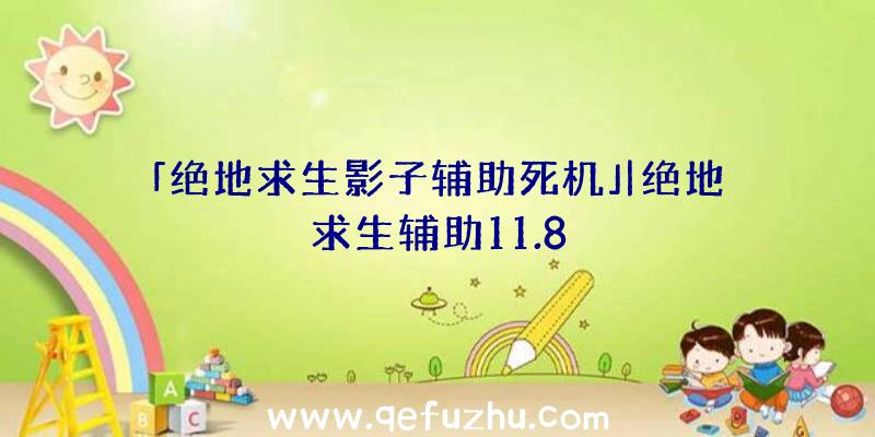 「绝地求生影子辅助死机」|绝地求生辅助11.8